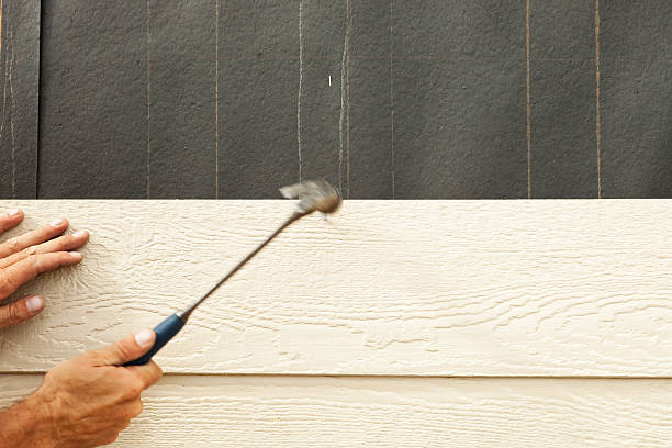 Best Stone Veneer Siding  in Jackson, AL